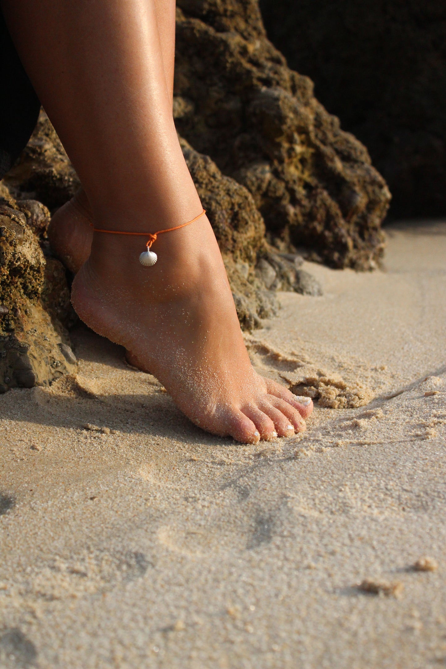 Sea Shell