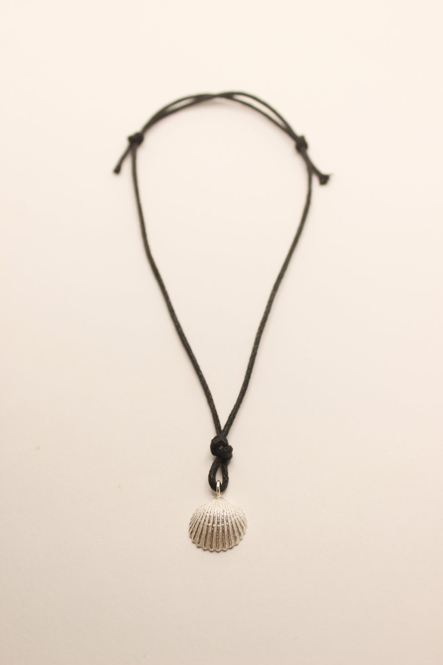 Sea Shell